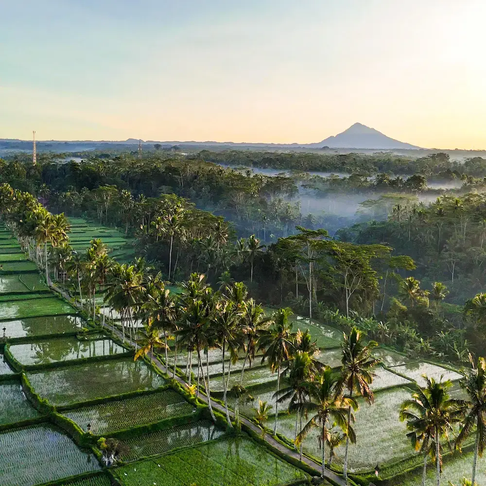 Bali Belly: What It Is, My Experience & Recovery