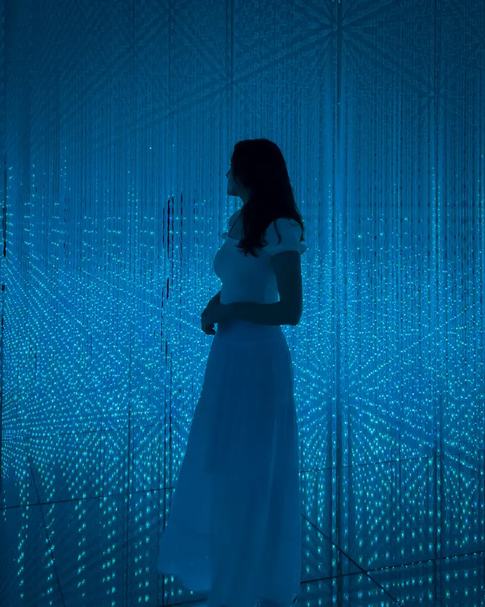 Immersive digital art installation at teamLab Borderless in Tokyo