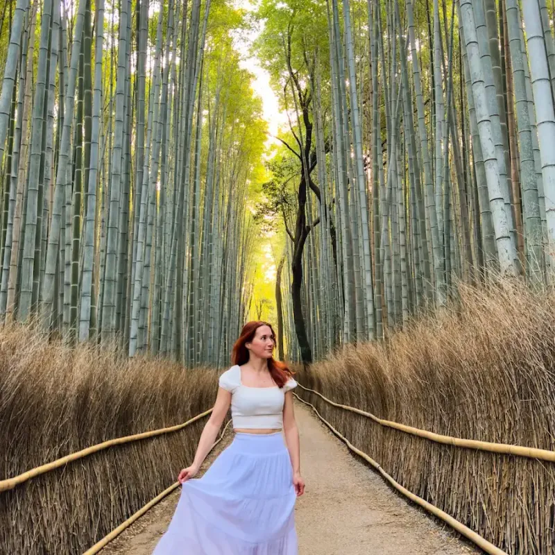 Kyoto travel guide